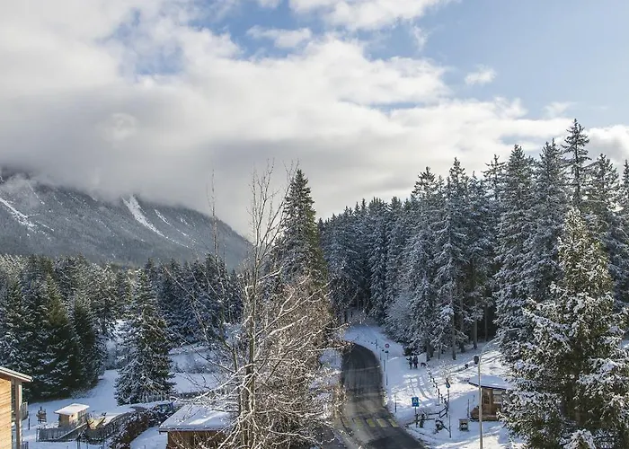 Zentrale Fuer 4 Seegarten Lenzerheide